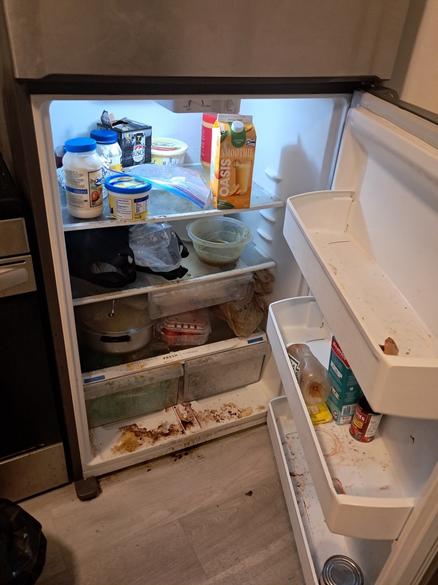 Refrigerator before detailed cleaning